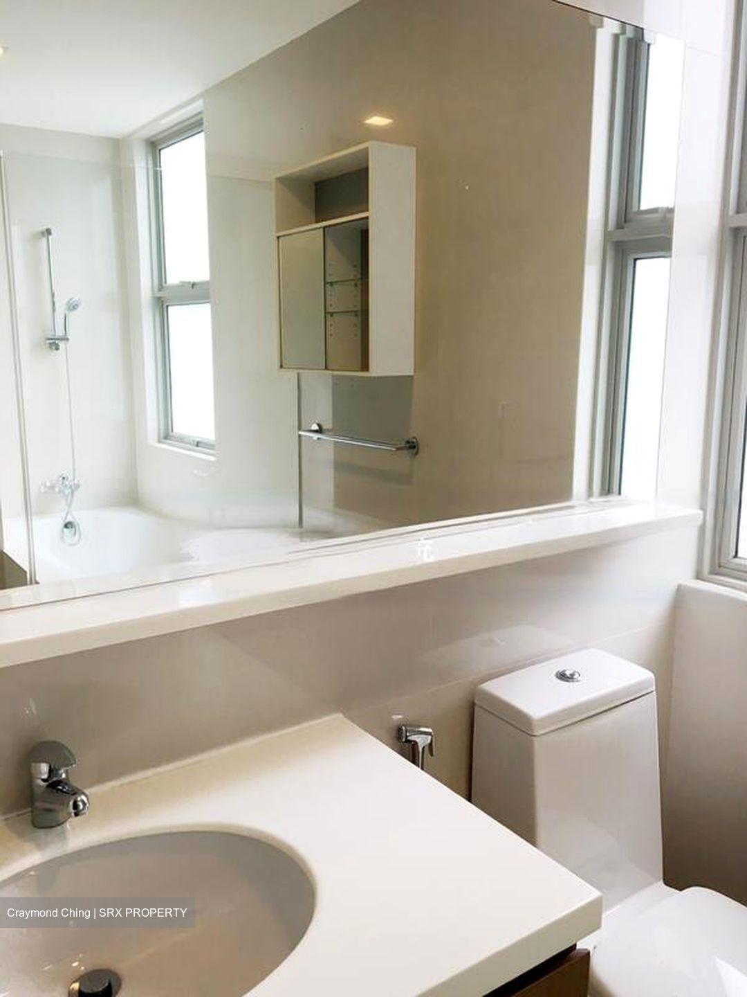 Nassim Regency (D10), Condominium #575337191